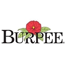 burpeecom