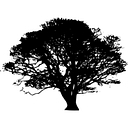 cedarmillfirearms.com Logo