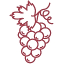 pillnitzer-tafelrebende